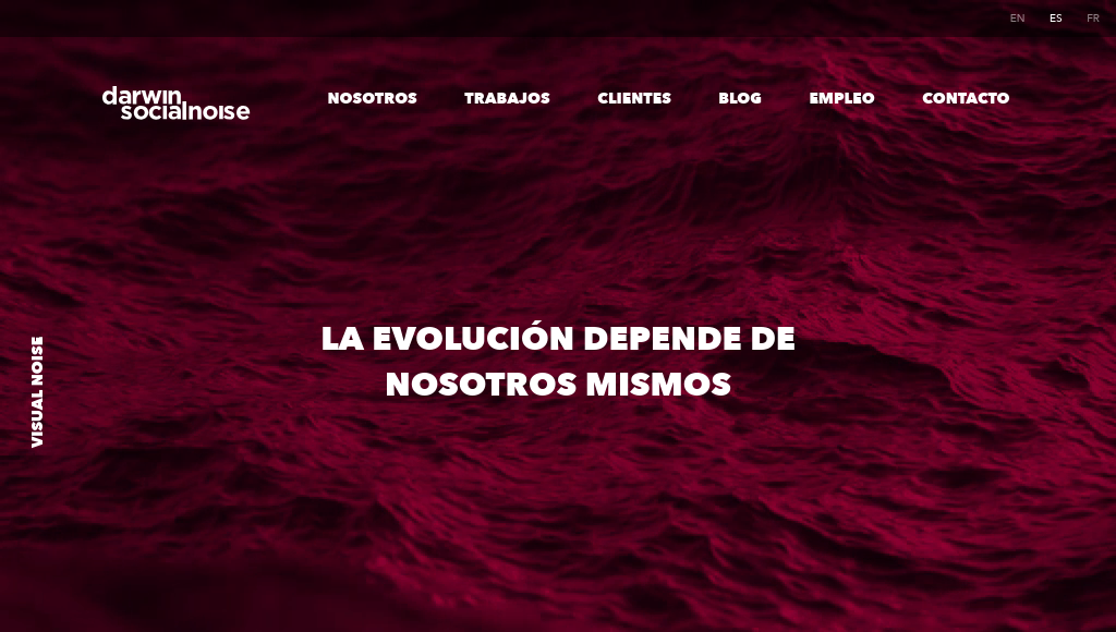 Las mejores agencias de marketing online de México-darwin