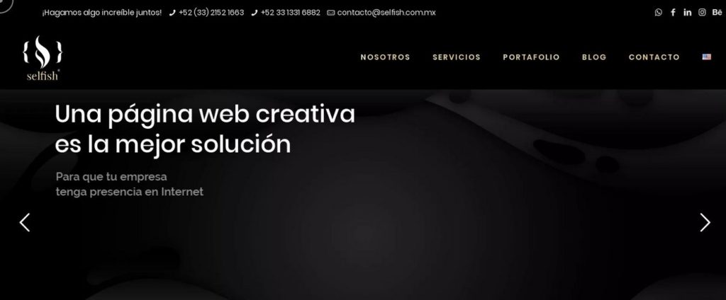 agencias de diseño web de México-selfish