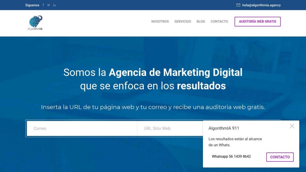 las mejores agencias SEO de México-algorithmia