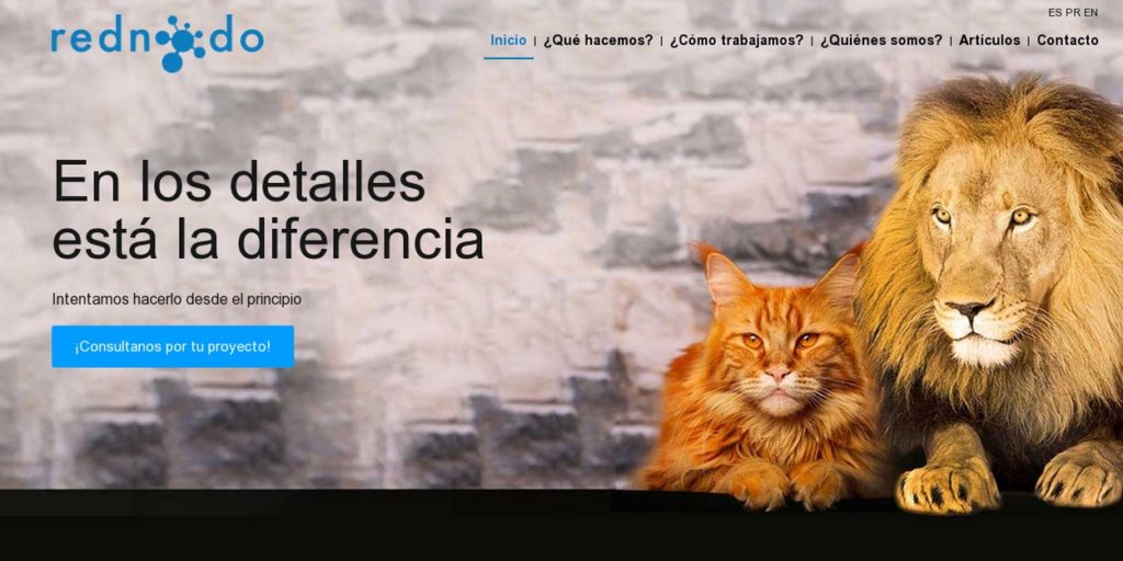 las mejores agencias de diseño web de Argentina-rednodo