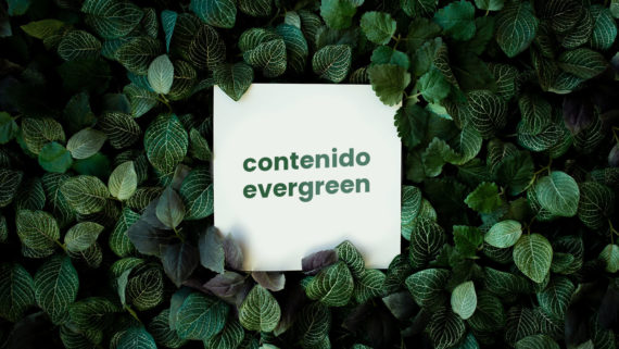 tapiz de hojas con un cartel de contenido evergreen