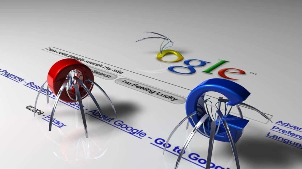 spider web sobre buscador de google