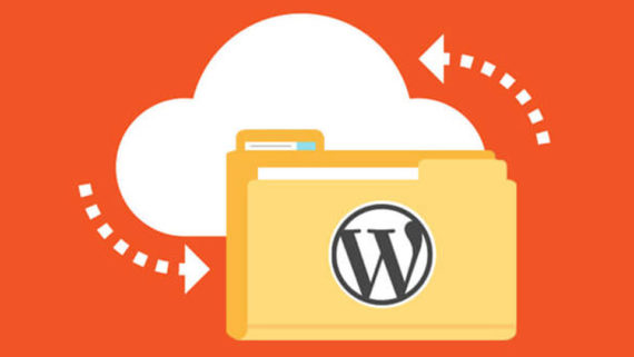 realizar un Backup en WordPress